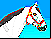 Jeux de Cheval