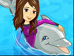 My dolphin show