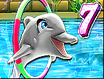 My dolphin show 7