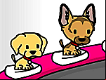 Salon pour Chien