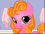 Soins du Poney
