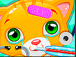 Docteur pour chaton