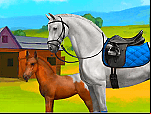 Equideow