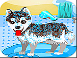 Bain pour gentil chien