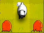 Dont stop the sheep