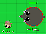 Mope io